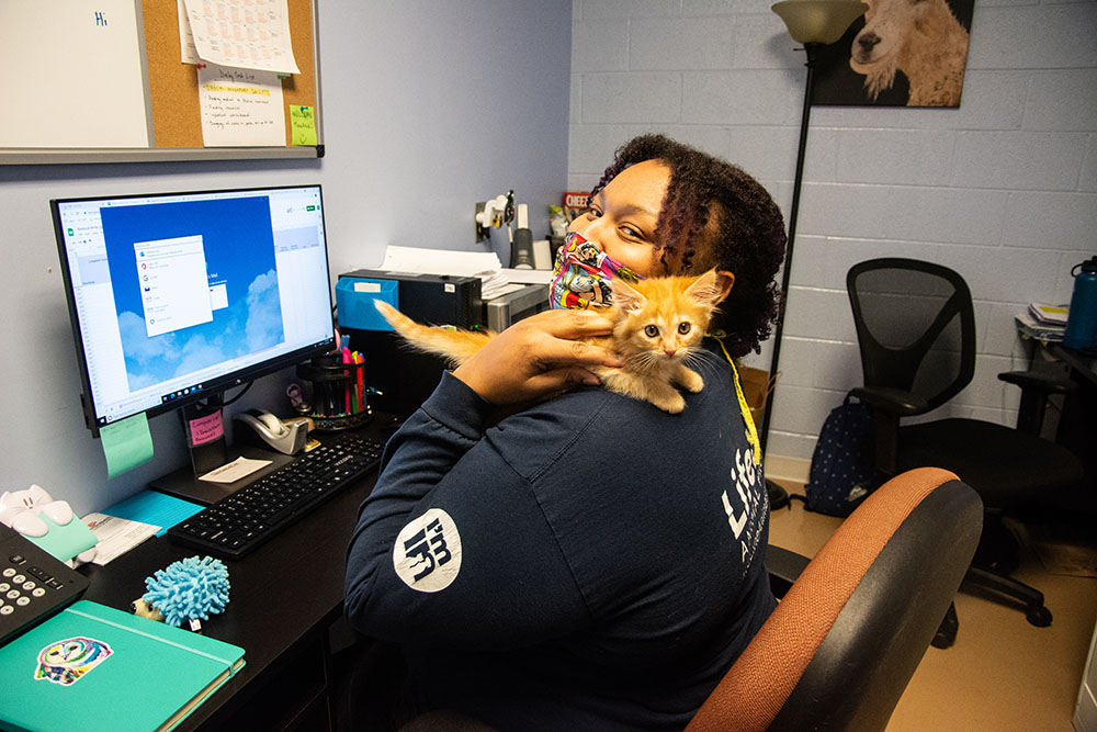 HASS Data and Research Woman holding kitten at a desk LifeLine Animal Project - Budget Calculator: Build a Budget Supported by Municipalities &amp; Community Support