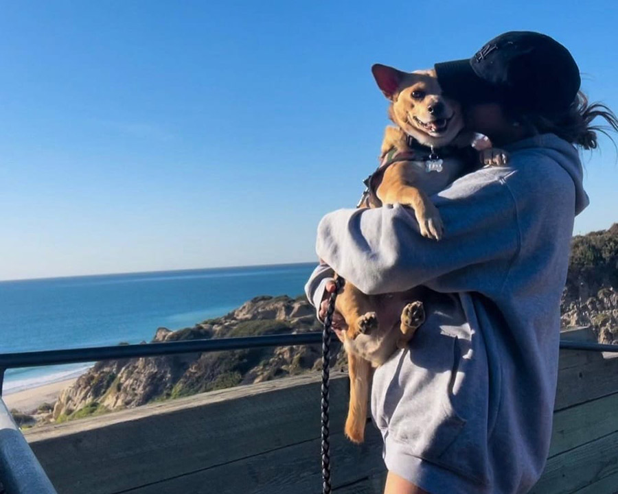 girl holding dog looking out at ocean view 6 Insights on the H in HASS - 6 Insights on the H in HASS. Please Join This Urgent Conversation