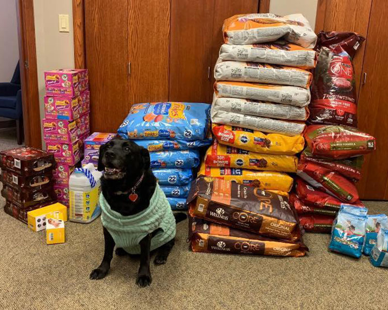 Free dog food outlet pantry