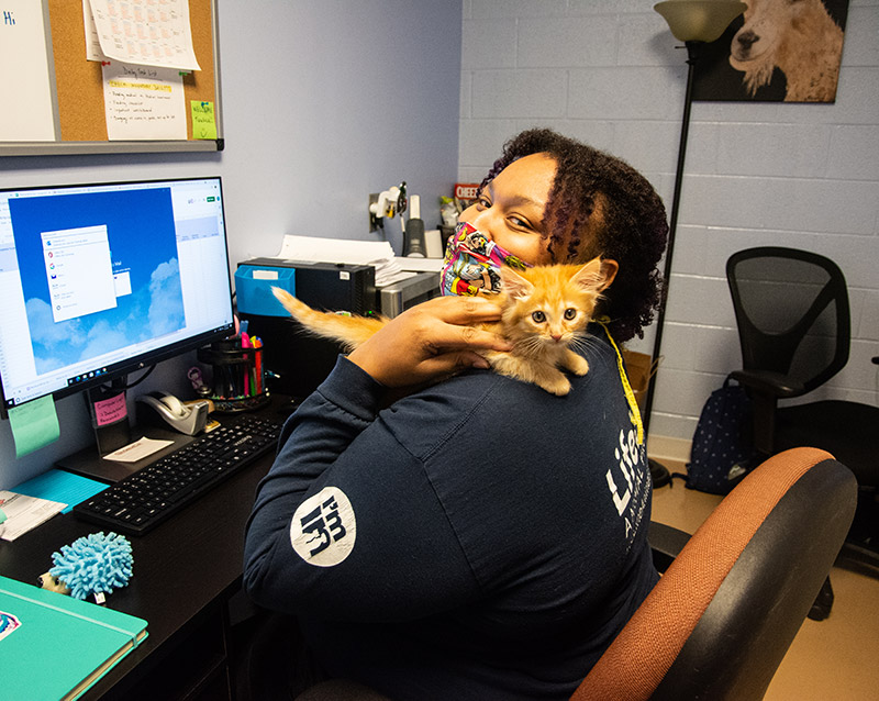 woman holding an orange kitten Unleashing the Power of Data Key Insights from 2022 - Unleashing the Power of Data: Key Insights from 2022